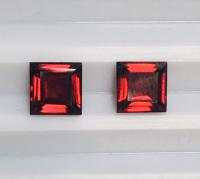 garnet พลอยโกเมน สีแดง พลอยแท้ เดือนมกราคม การ์เน็ต แหวน พลอย สมเด็จองค์ปฐม วัดท่าซุง หลวงพ่อฤษีลิงดำ สร้อย แก้ชง ดูดวง เสริมดวง ราศีมกรา