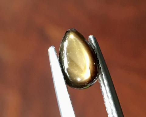 g1-783-2 golden starsapphire พลอยสตาร์ซัฟไฟร์ golden starsapphire Ring แหวน พลอยดิบ สตาร์บุษย์บางกะจะ ไพลิน จันทบุรี อัญมณี พลอยสตาร์ซัฟไฟร์ เสริมดวง แก้ชง พลอยเสริมดวง จี้พลอย ขายปลีกส่งพลอย รับทำเครื่องประดับ พลอยราคาโรงงาน