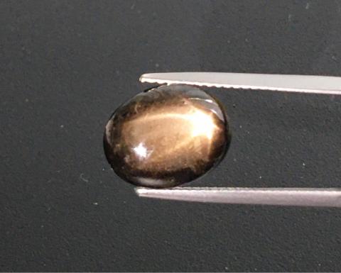 g1-751-10 black star sapphire พลอยสตาร์ซัฟไฟร์ starsapphire Ring แหวน พลอยดิบ พลอยสตาร์บุษย์บางกะจะ ไพลิน จันทบุรี อัญมณี พลอยสตาร์ เสริมดวง แก้ชง พลอยเสริมโชค