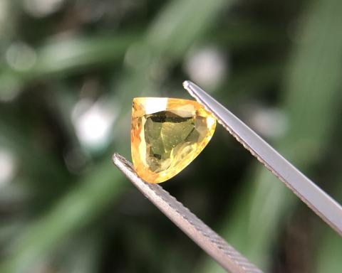 yellow sapphire พลอยบุษราคัมบางกะจะ พลอยจันทบุรี เสริมดวง ดูดวง แก้ชง แหวน geminlove พลอยแท้ราคาโรงงาน พลอยสีเหลือง บุษย์น้ำเพชร พลอยดิบ