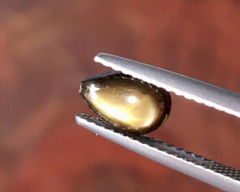 g1-783-2 golden starsapphire พลอยสตาร์ซัฟไฟร์ golden starsapphire Ring แหวน พลอยดิบ สตาร์บุษย์บางกะจะ ไพลิน จันทบุรี อัญมณี พลอยสตาร์ซัฟไฟร์ เสริมดวง แก้ชง พลอยเสริมดวง จี้พลอย ขายปลีกส่งพลอย รับทำเครื่องประดับ พลอยราคาโรงงาน