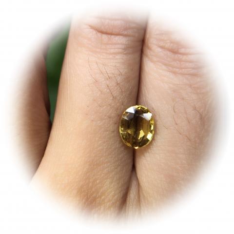 yellowsapphire พลอยบุษราคัมบางกะจะ พลอยจันทบุรี เสริมดวง ดูดวง แก้ชง แหวน พลอยแท้ราคาโรงงาน พลอยสีเหลือง บุษย์น้ำเพชร พลอยดิบ