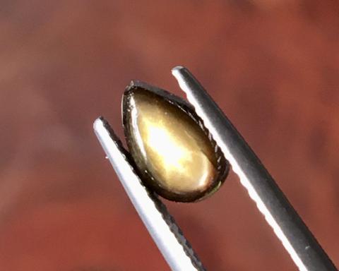 g1-783-2 golden starsapphire พลอยสตาร์ซัฟไฟร์ golden starsapphire Ring แหวน พลอยดิบ สตาร์บุษย์บางกะจะ ไพลิน จันทบุรี อัญมณี พลอยสตาร์ซัฟไฟร์ เสริมดวง แก้ชง พลอยเสริมดวง จี้พลอย ขายปลีกส่งพลอย รับทำเครื่องประดับ พลอยราคาโรงงาน