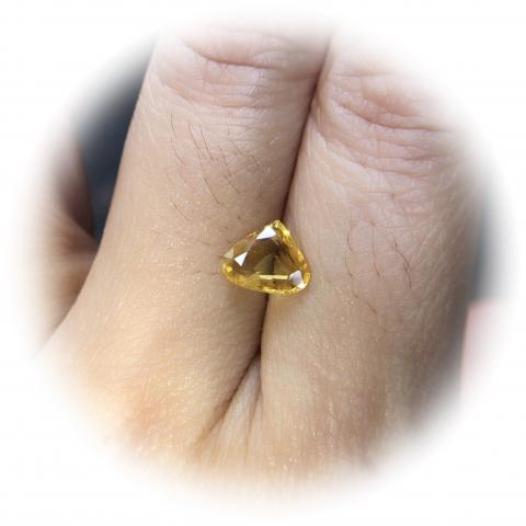 yellow sapphire พลอยบุษราคัมบางกะจะ พลอยจันทบุรี geminlove เสริมดวง ดูดวง แก้ชง แหวน พลอยแท้ราคาโรงงาน พลอยสีเหลือง บุษย์น้ำเพชร พลอยดิบ