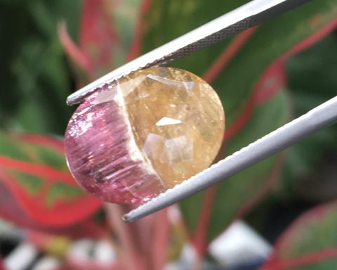 Bio-tourmaline จี้พลอย แหวนพลอย วันอังคาร อัญมณีสีทอง เสริมดวง พลอยทัวมาลีน 2 สี พลอยธรรมชาติ พลอยดิบ พลอยแท้ ราคาโรงงาน มีใบรับรอง