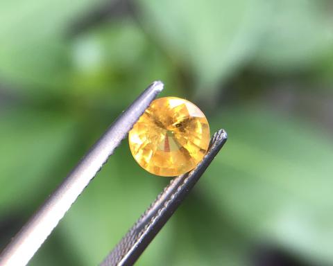 yellow sapphire earring ต่างหูพลอยบุษราคัม บางกะจะ จันทบุรี ring pendant เสริมดวง ดูดวง แก้ชง  แหวน พลอยแท้ บุษย์น้ำเพชร geminlove