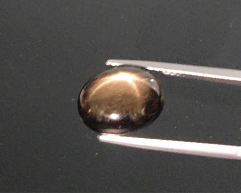 g1-751-10 black star sapphire พลอยสตาร์ซัฟไฟร์ starsapphire Ring แหวน พลอยดิบ พลอยสตาร์บุษย์บางกะจะ ไพลิน จันทบุรี อัญมณี พลอยสตาร์ เสริมดวง แก้ชง พลอยเสริมโชค