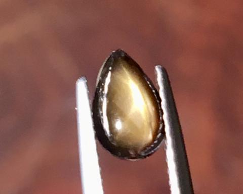 g1-783-2 golden starsapphire พลอยสตาร์ซัฟไฟร์ golden starsapphire Ring แหวน พลอยดิบ สตาร์บุษย์บางกะจะ ไพลิน จันทบุรี อัญมณี พลอยสตาร์ซัฟไฟร์ เสริมดวง แก้ชง พลอยเสริมดวง จี้พลอย ขายปลีกส่งพลอย รับทำเครื่องประดับ พลอยราคาโรงงาน