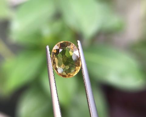 yellowsapphire พลอยบุษราคัมบางกะจะ พลอยจันทบุรี เสริมดวง ดูดวง แก้ชง แหวน พลอยแท้ราคาโรงงาน พลอยสีเหลือง บุษย์น้ำเพชร พลอยดิบ