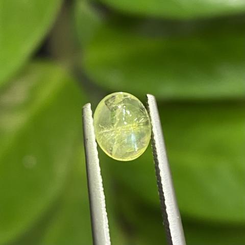 พลอยไพฑูรย์ตาแมว Chrysoberyl cat's eye พลอยนพเก้า พลอยเสริมดวงวันพุธ พลอยดิบไม่เผา พลอยไทย พลอยแท้ มีใบเซอร์ พลอยตาที่สาม พลอยเสริมดวงปีเถาะ มะโรง กุน