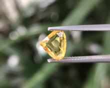 yellow sapphire พลอยบุษราคัมบางกะจะ พลอยจันทบุรี เสริมดวง ดูดวง แก้ชง แหวน พลอยแท้ราคาโรงงาน พลอยสีเหลือง บุษย์น้ำเพชร พลอยดิบ geminlove