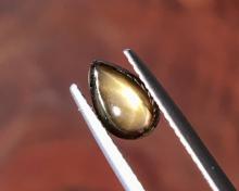 g1-783-2 golden starsapphire พลอยสตาร์ซัฟไฟร์ golden starsapphire Ring แหวน พลอยดิบ สตาร์บุษย์บางกะจะ ไพลิน จันทบุรี อัญมณี พลอยสตาร์ซัฟไฟร์ เสริมดวง แก้ชง พลอยเสริมดวง จี้พลอย ขายปลีกส่งพลอย รับทำเครื่องประดับ พลอยราคาโรงงาน