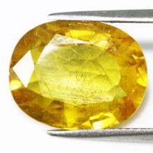 yellow sapphire พลอยบุษราคัม บางกะจะ จันทบุรี  เสริมดวง ดูดวง แก้ชง  แหวน พลอยแท้ พลอยสีเหลือง บุษย์น้ำเพชร พลอยดิบ