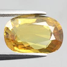 gemstone: บุษราคัม-Yellow Sapphire size: 12.6x8.5x4.8 carat: 5.50Ct.
