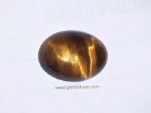พลอยตาเสือ tiger's eye หินนำโชค พลอยบำบัด เสริมราศี แก้ชง ดูดวง หินสี แหวนเสริมดวง เครื่องรางพลอยตาเสือ tiger's eye หินนำโชค พลอยบำบัด เสริมราศี แก้ชง ดูดวง หินสี แหวนเสริมดวง เครื่องราง