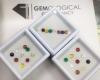 พลอยนพเก้า พลอยนพรัตน์ ไพลิน ทับทิม มรกต พลอยนพเก้าตามตำรา พลอยนพรัตน์ luckygemstone 9gems พลอยเสริมสิริมงคล noppakao อัญมณี พลอยนพเก้าแท้ 