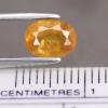 yellow sapphire พลอยบุษราคัม g1-559-69