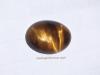 พลอยตาเสือ tiger's eye หินนำโชค พลอยบำบัด เสริมราศี แก้ชง ดูดวง หินสี แหวนเสริมดวง เครื่องรางพลอยตาเสือ tiger's eye หินนำโชค พลอยบำบัด เสริมราศี แก้ชง ดูดวง หินสี แหวนเสริมดวง เครื่องราง