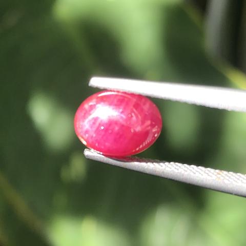 g1-803-12 unheatedruby พลอยทับทิมดิบ unheatedruby พลอยทับทิมดิบ พลอยแดง ทับทิมพม่า ring แหวน แก้ชง พลอยสายมู วันเกิด ดูดวง อัญมณี ราศีกรกฏ พลอยเสริมดวง ทับทิมสยาม พลอยดิบ พลอยสด